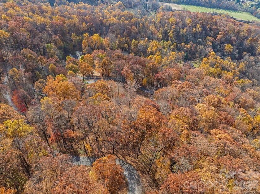 Discover a rare opportunity to build your dream mountain estate - photo 28
