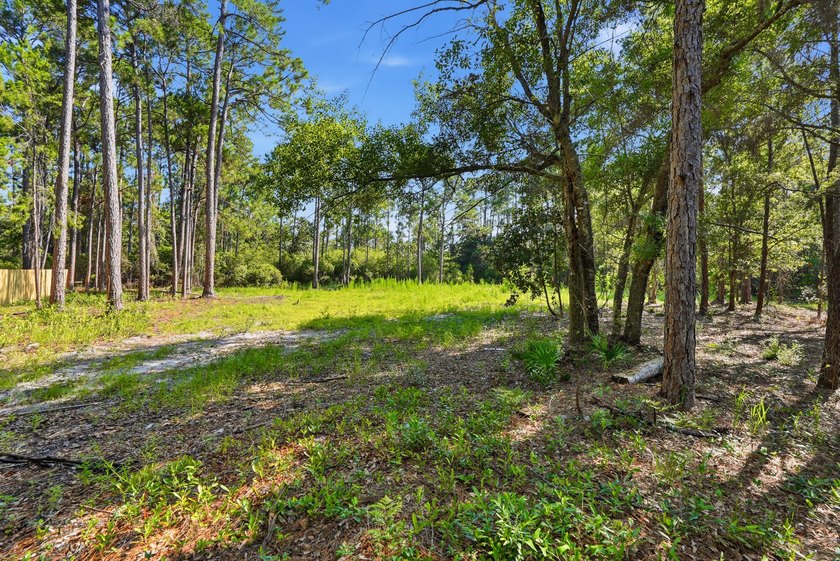 Discover the possibilities with this exceptional half acre - photo 8