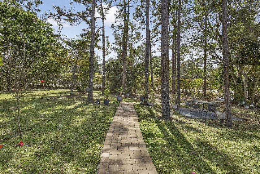 Wonderful sanctuary sheltered with palms, high hedges, &amp; fruit - photo 45