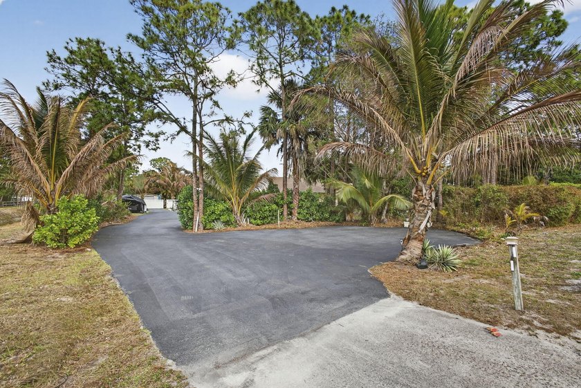 Wonderful sanctuary sheltered with palms, high hedges, &amp; fruit - photo 47