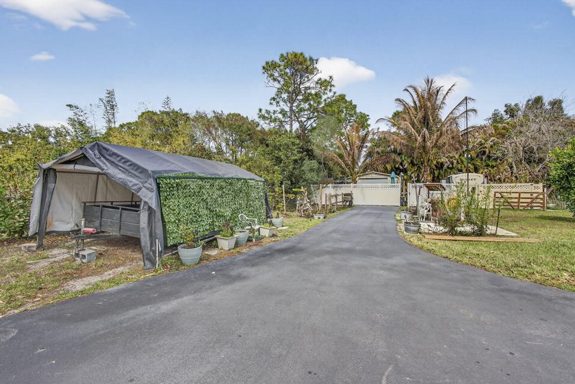 Wonderful sanctuary sheltered with palms, high hedges, &amp; fruit - photo 50