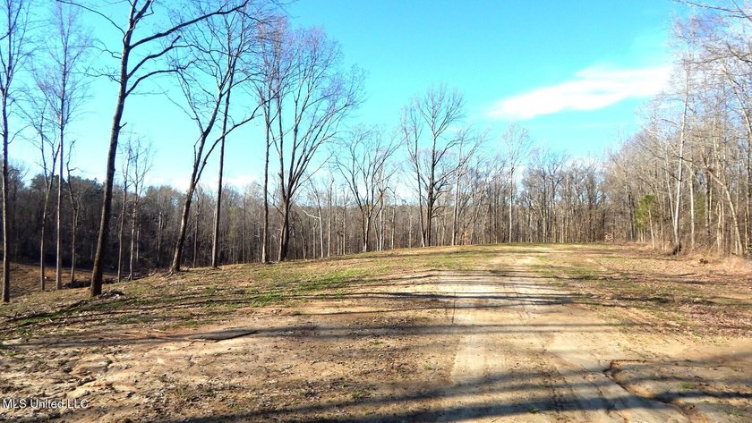 DeSoto County. This 83.562 surveyed acres is the perfect - photo 5