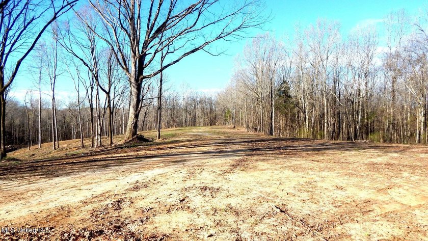DeSoto County. This 83.562 surveyed acres is the perfect - photo 8