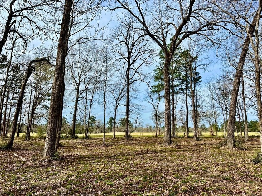 Beautiful 3.48 acres, cleared and ready for your new home. This - photo 2