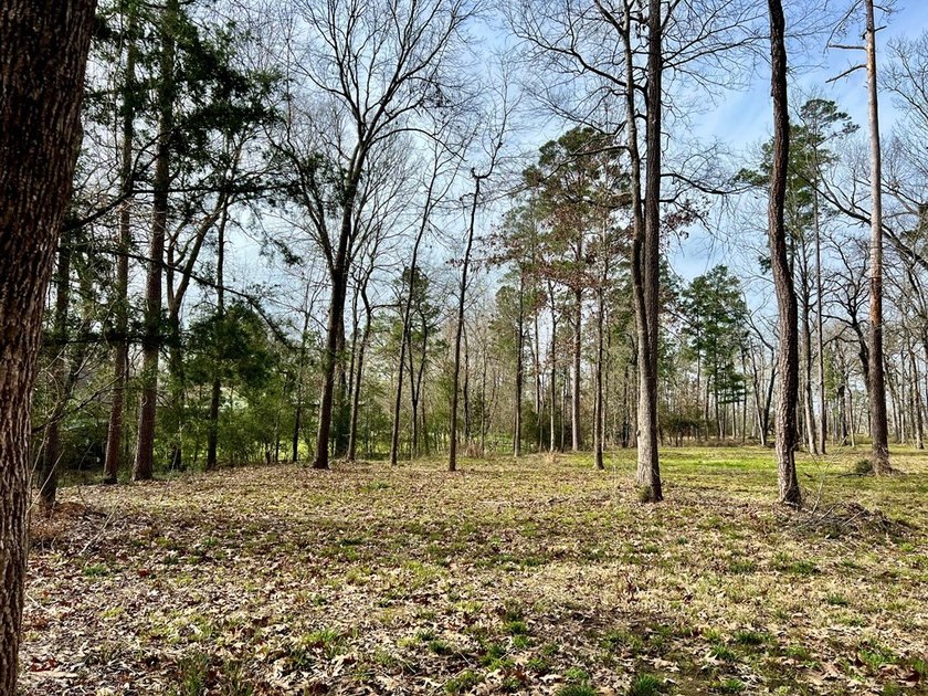 Beautiful 3.48 acres, cleared and ready for your new home. This - photo 3