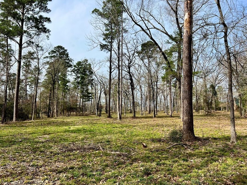 Beautiful 3.48 acres, cleared and ready for your new home. This - photo 4