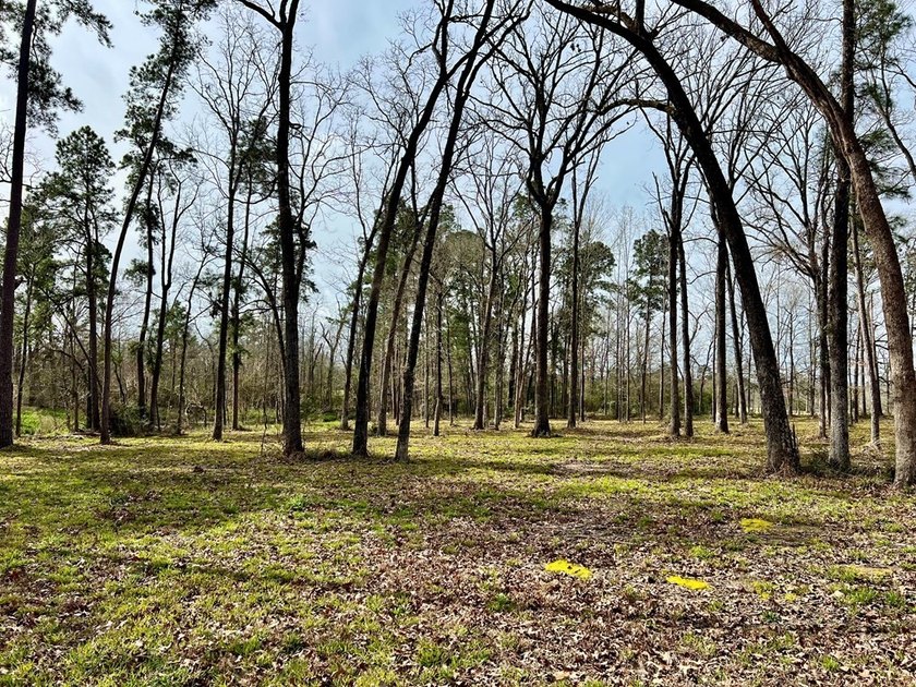 Beautiful 3.48 acres, cleared and ready for your new home. This - photo 5