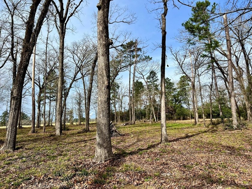 Beautiful 3.48 acres, cleared and ready for your new home. This - photo 6