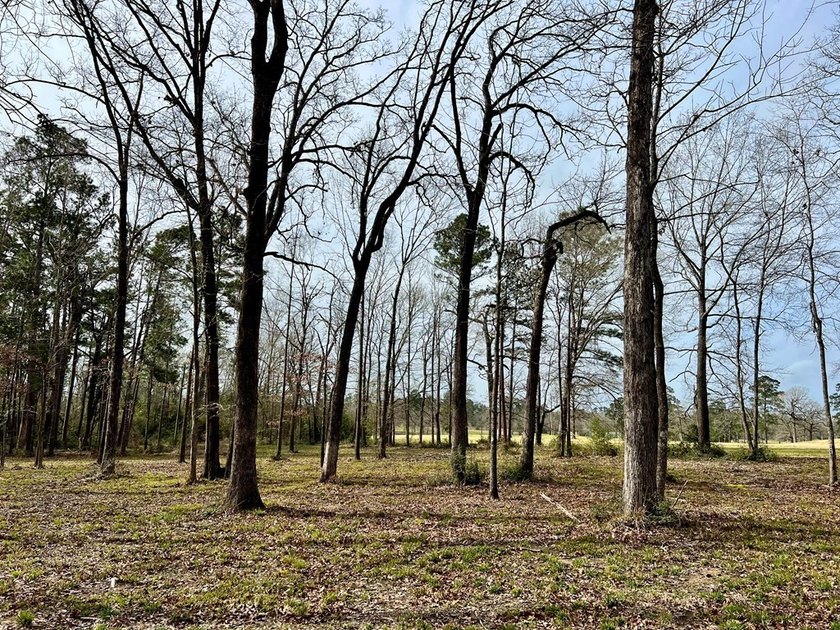 Beautiful 3.48 acres, cleared and ready for your new home. This - photo 7