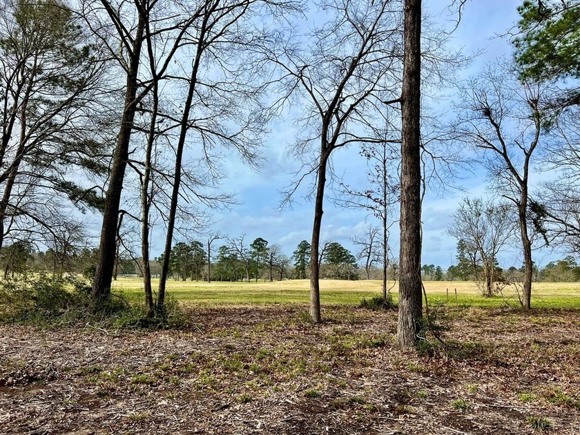 Beautiful 3.48 acres, cleared and ready for your new home. This - photo 9