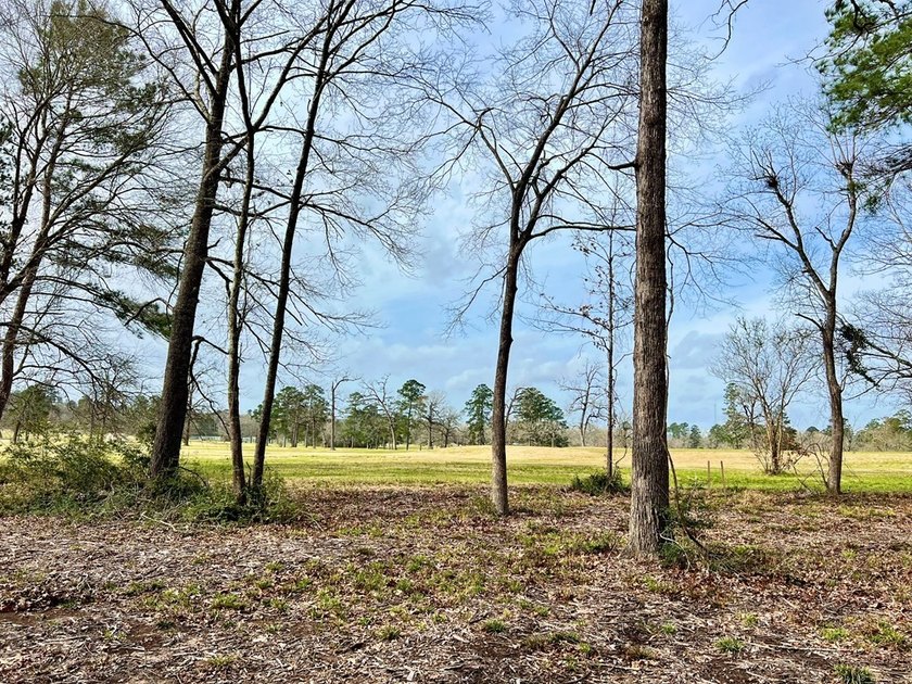 Beautiful 3.48 acres, cleared and ready for your new home. This - photo 10