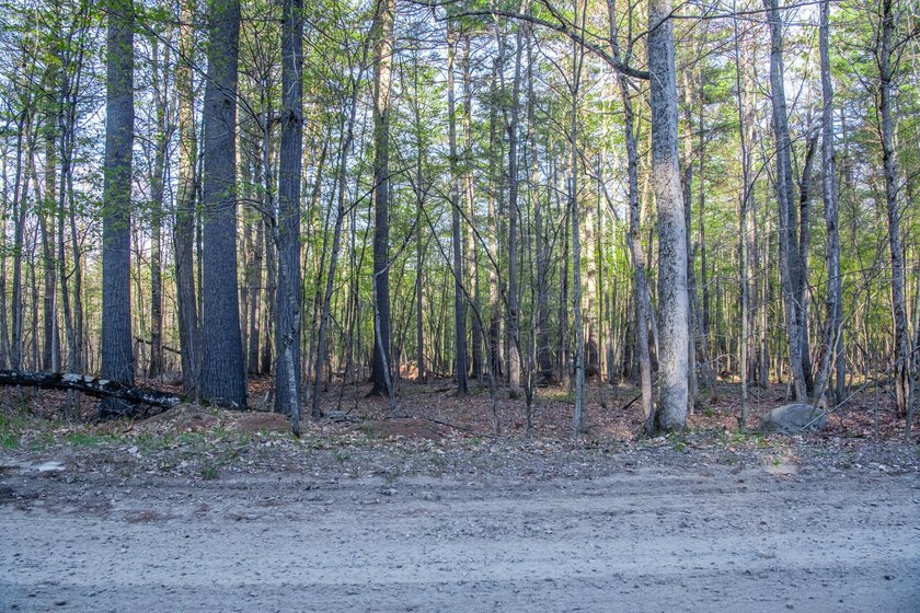 Build your Adirondack retreat on this .9-acre level lot located - photo 4