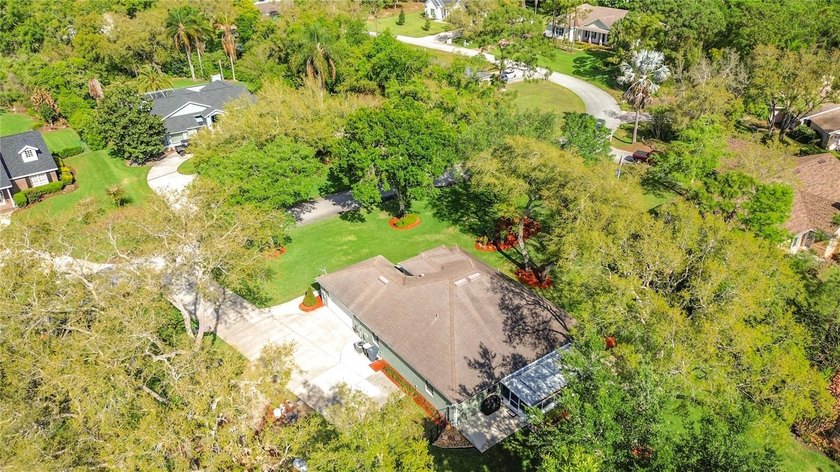 Under contract-accepting backup offers. Welcome to Spring Pines! - photo 57
