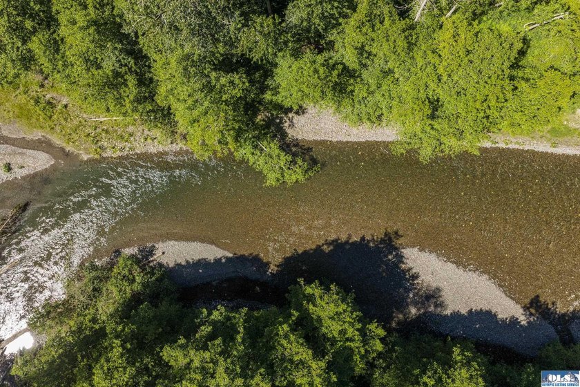 Prime Riverfront Retreat on the Dungeness River with No HOA! - photo 53