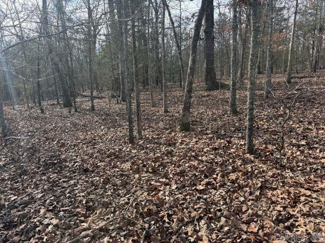 Private 7-acre tract located on a quiet county road that - photo 2
