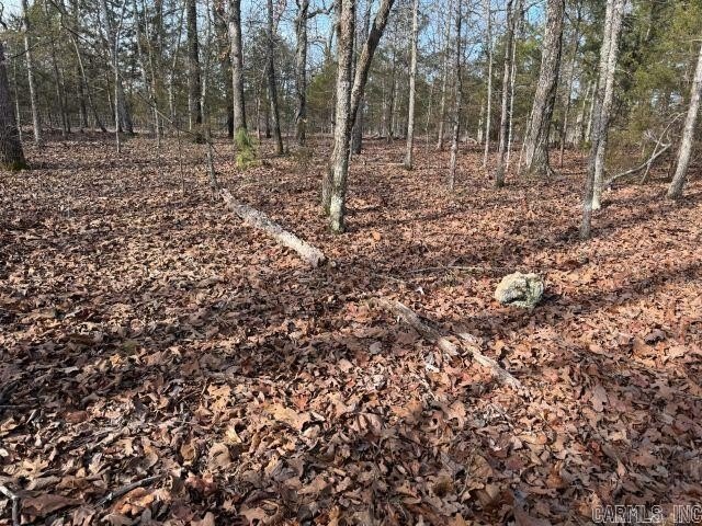 Private 7-acre tract located on a quiet county road that - photo 3