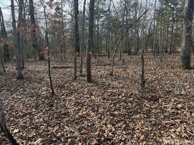 Private 7-acre tract located on a quiet county road that - photo 4