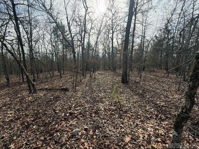 Private 7-acre tract located on a quiet county road that - photo 6