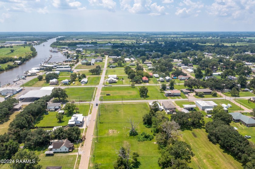Welcome to Delcambre! Home of the Shrimp Festival voted Festival - photo 2