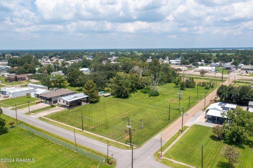 Welcome to Delcambre! Home of the Shrimp Festival voted Festival - photo 4