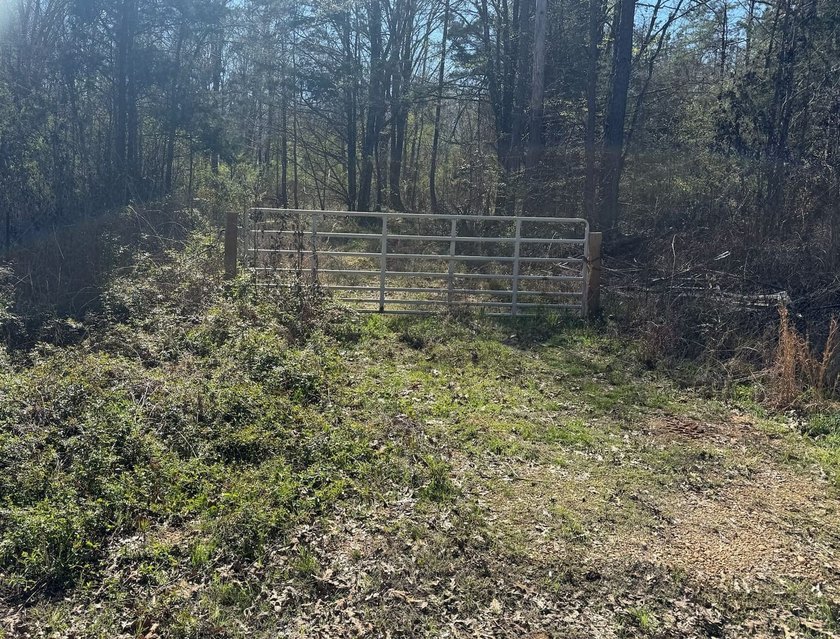 Located in Pontotoc County, Ms this 70 +/- acre property is one - photo 11