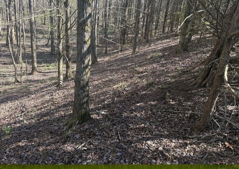 Located in Pontotoc County, Ms this 70 +/- acre property is one - photo 13