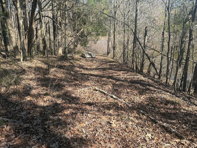Located in Pontotoc County, Ms this 70 +/- acre property is one - photo 14