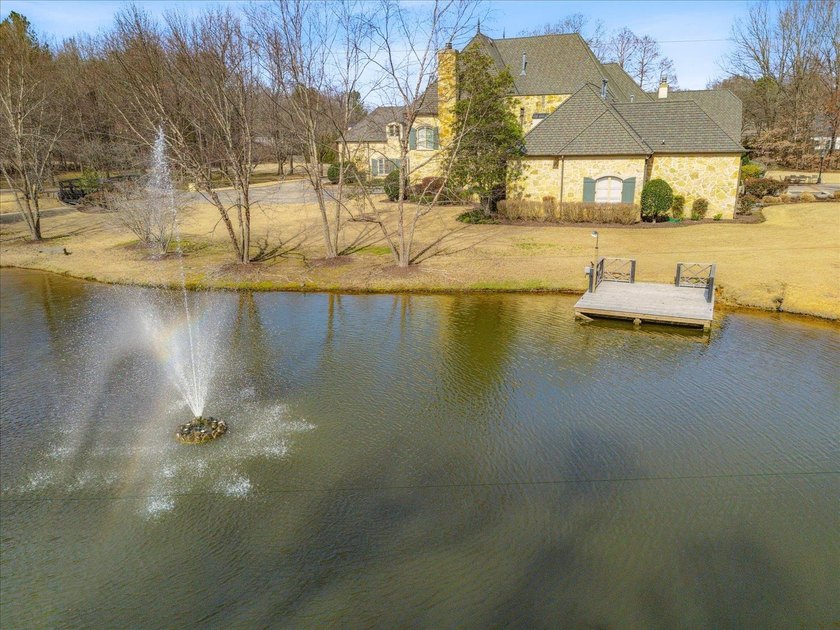 Once-in-a-generation Germantown estate behind a private gated - photo 36