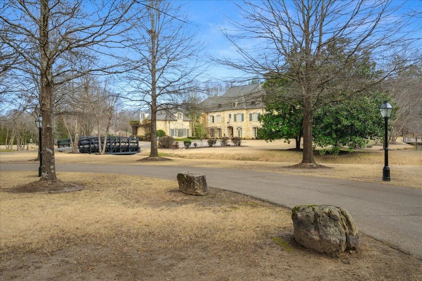Once-in-a-generation Germantown estate behind a private gated - photo 39