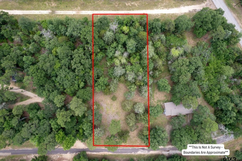 Lots 2,3,47,48 Kings Country Blvd, Scroggins, TX 75480, 4990271