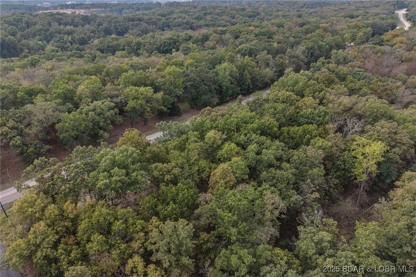 Nice and level building lot off of Shawnee Bend Rd. Power - photo 11