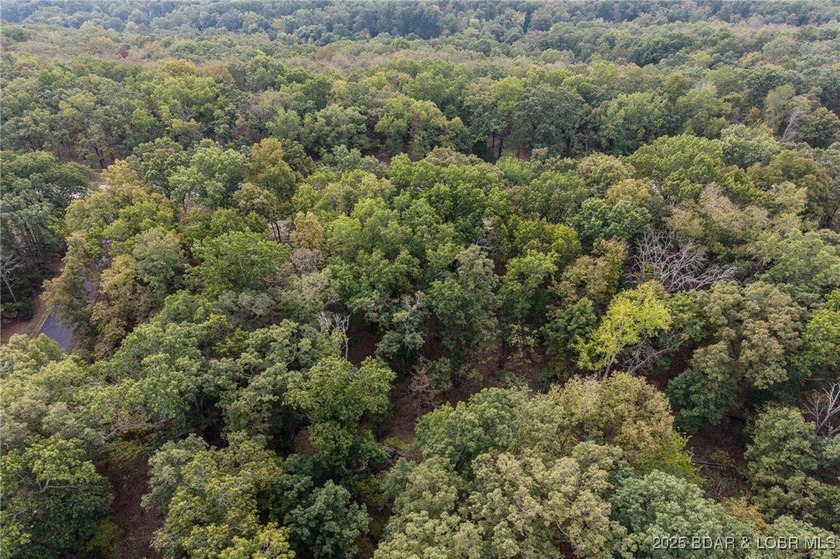 Nice and level building lot off of Shawnee Bend Rd. Power - photo 12