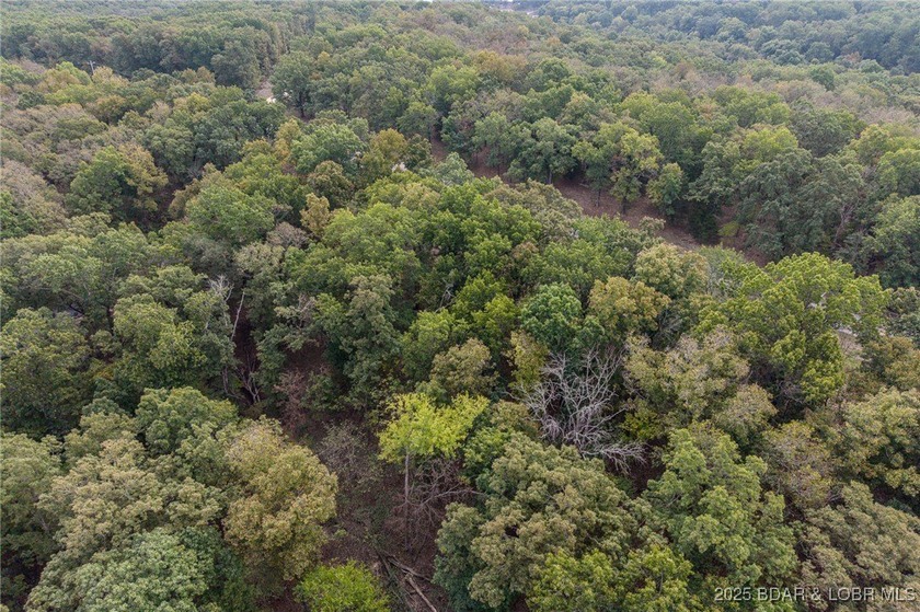 Nice and level building lot off of Shawnee Bend Rd. Power - photo 13