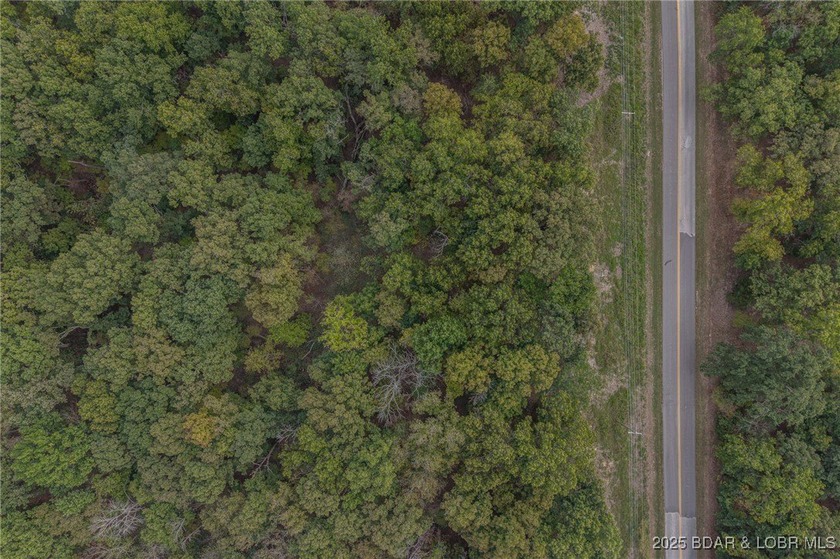 Nice and level building lot off of Shawnee Bend Rd. Power - photo 14