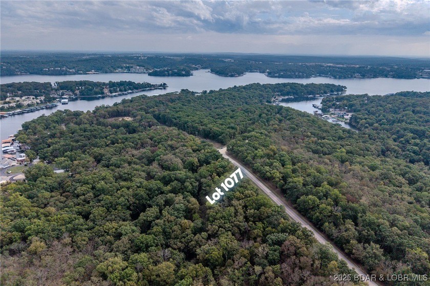 Nice and level building lot off of Shawnee Bend Rd. Power - photo 17