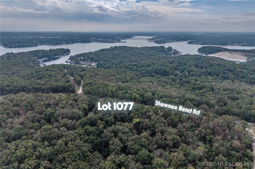 Nice and level building lot off of Shawnee Bend Rd. Power - photo 18