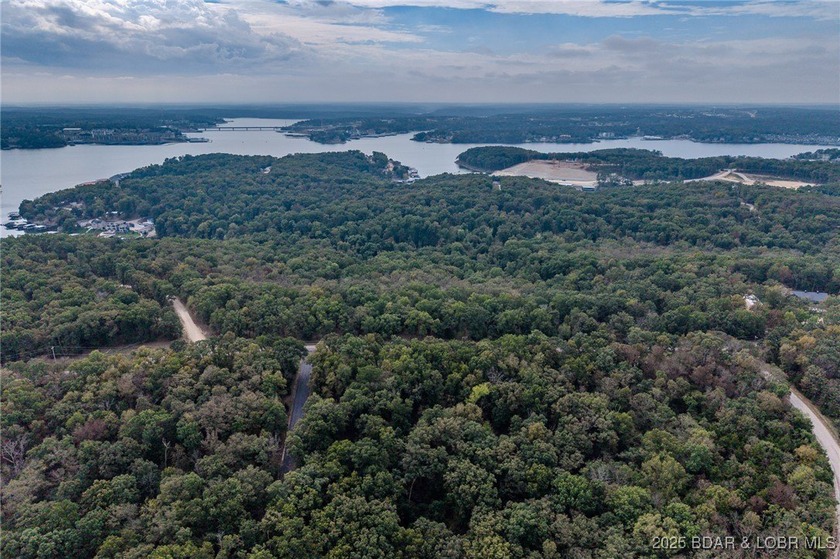 Nice and level building lot off of Shawnee Bend Rd. Power - photo 19
