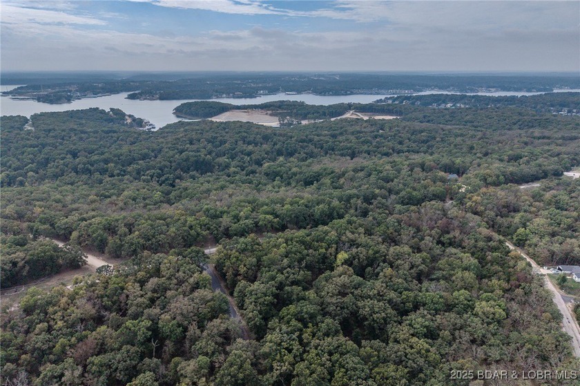 Nice and level building lot off of Shawnee Bend Rd. Power - photo 20