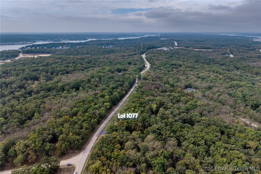 Nice and level building lot off of Shawnee Bend Rd. Power - photo 22