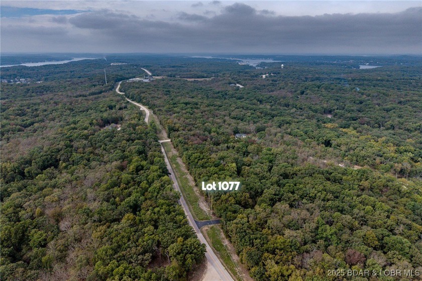 Nice and level building lot off of Shawnee Bend Rd. Power - photo 23