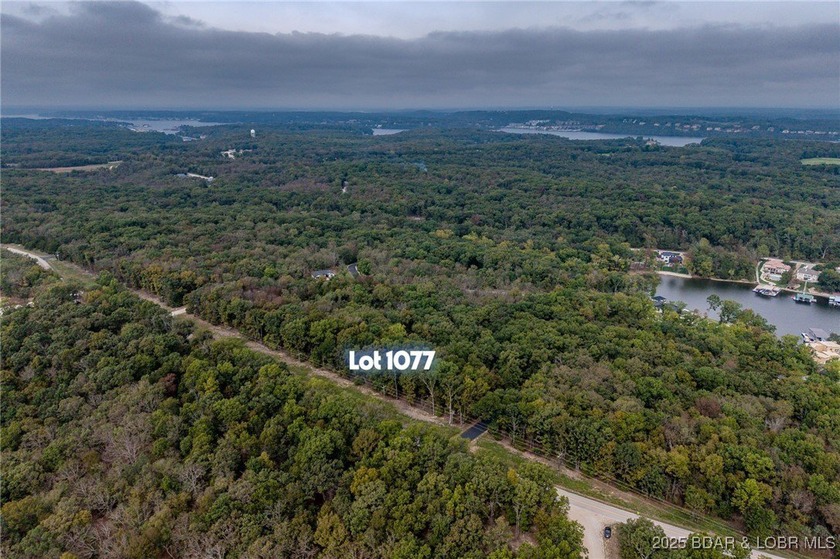 Nice and level building lot off of Shawnee Bend Rd. Power - photo 24