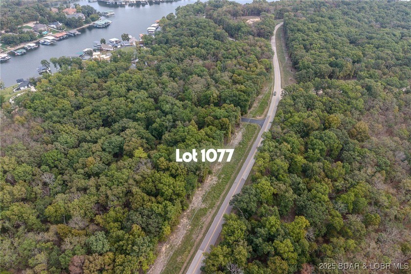 Nice and level building lot off of Shawnee Bend Rd. Power - photo 26