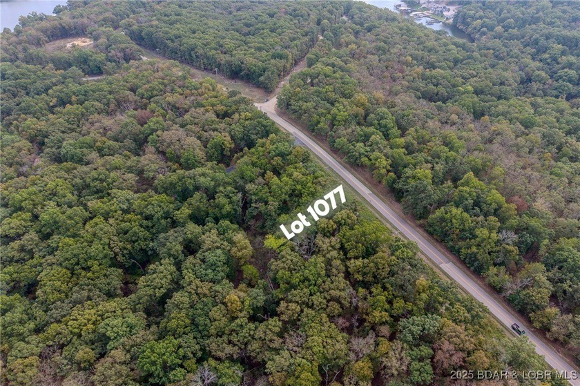 Nice and level building lot off of Shawnee Bend Rd. Power - photo 27