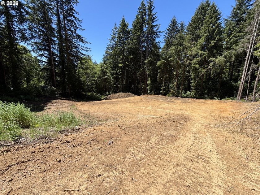Private and secluded 2-acre parcel, yet 10 minutes to town. Out - photo 15