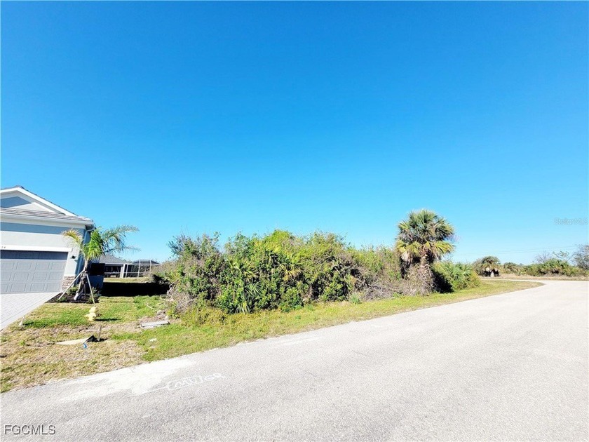 Have you ever dreamed of living in SW Florida? If so, don't miss - photo 2
