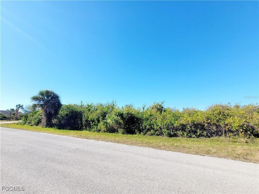 Have you ever dreamed of living in SW Florida? If so, don't miss - photo 4