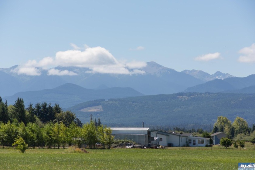 Stunning Panoramic Mountain Views on 9+ Acres! New deluxe shed - photo 13