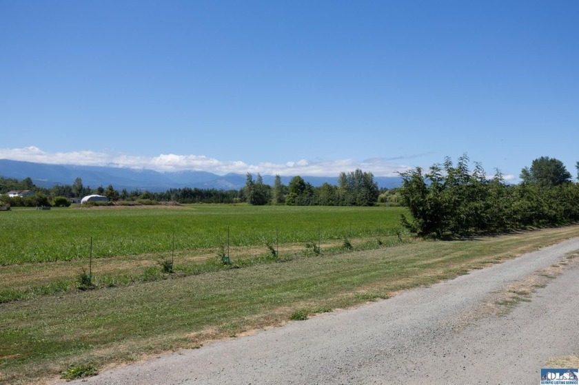 Stunning Panoramic Mountain Views on 9+ Acres! New deluxe shed - photo 15
