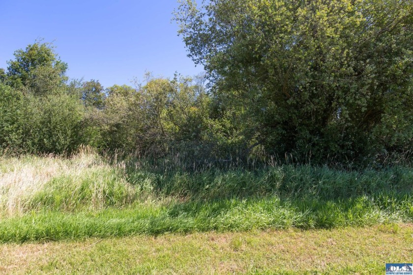 Stunning Panoramic Mountain Views on 9+ Acres! New deluxe shed - photo 17