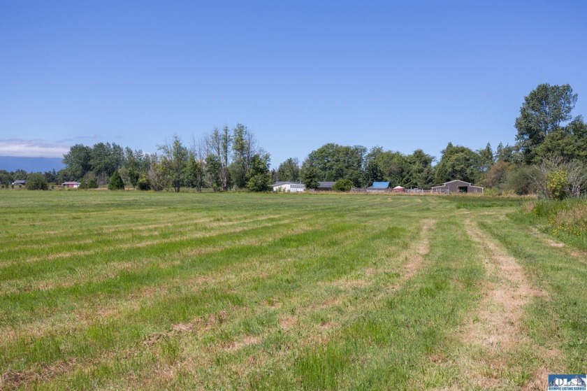 Stunning Panoramic Mountain Views on 9+ Acres! New deluxe shed - photo 18